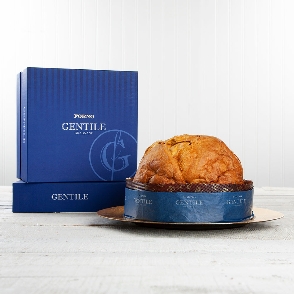 Gentile Panettone | Ditalia Italian Specialty Imports and Gifts